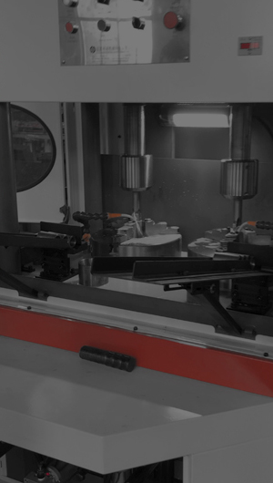 ����ר������