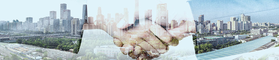 ��ϵ����